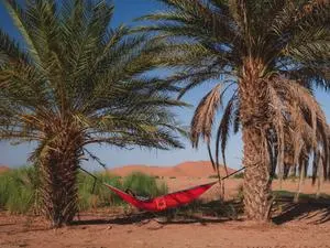 Hammocks